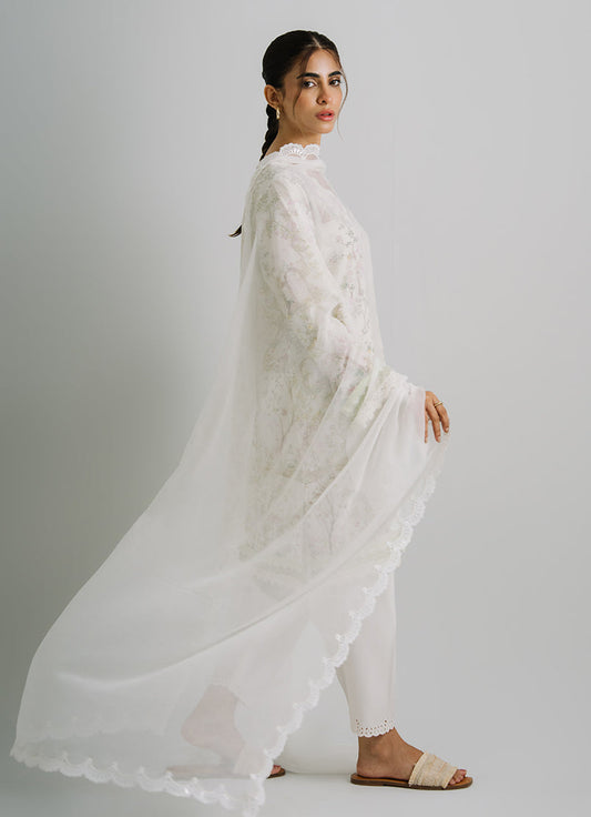 Applique Lace Dupatta
