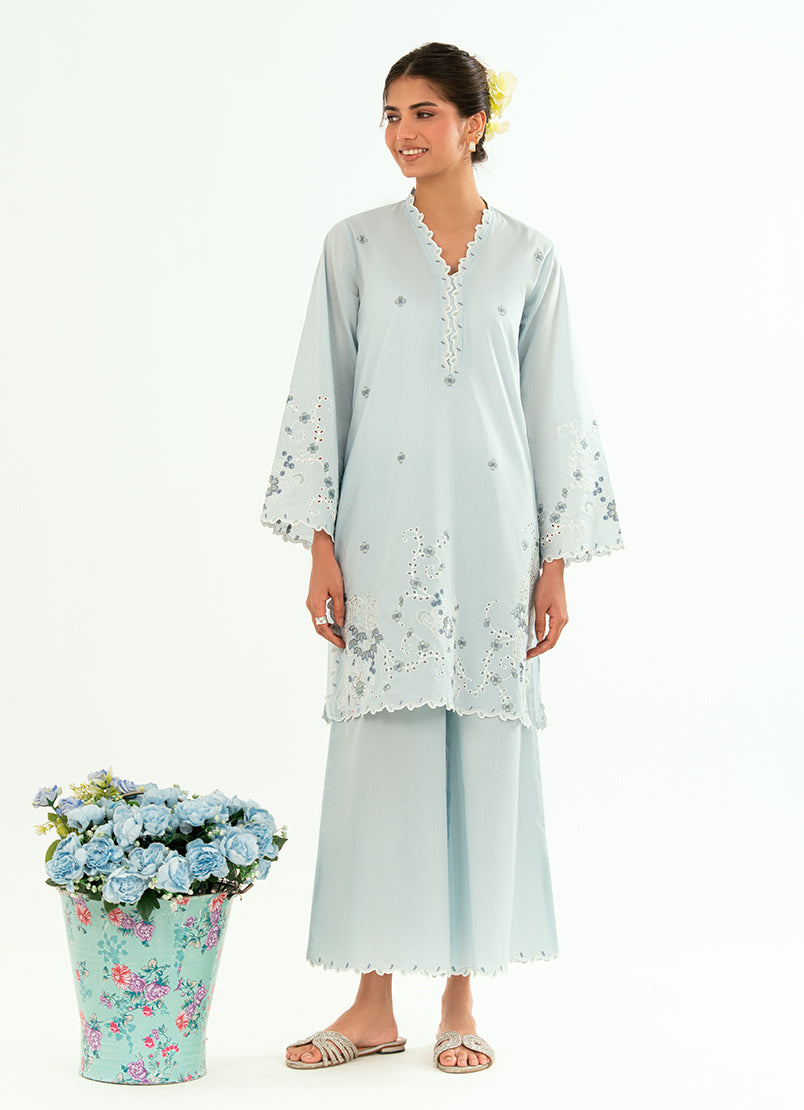 embroidered-co-ord-set