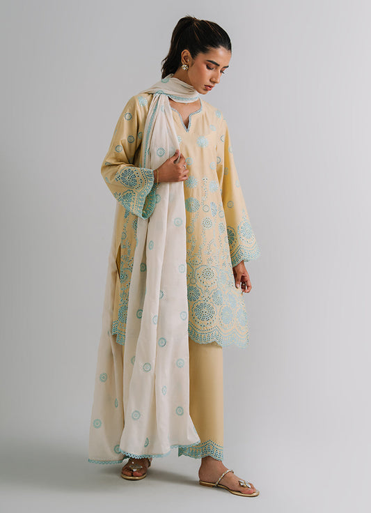 3 PC Embroidered Suit