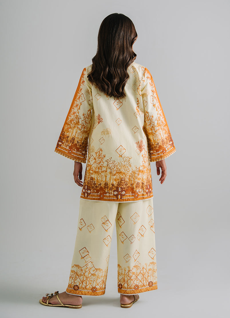 printed-embroidered-co-ord-set