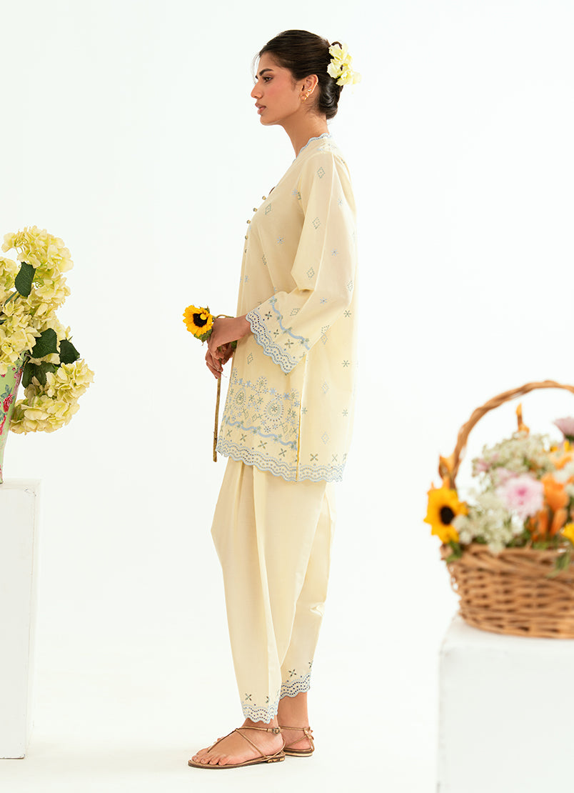 embroidered-co-ord-set