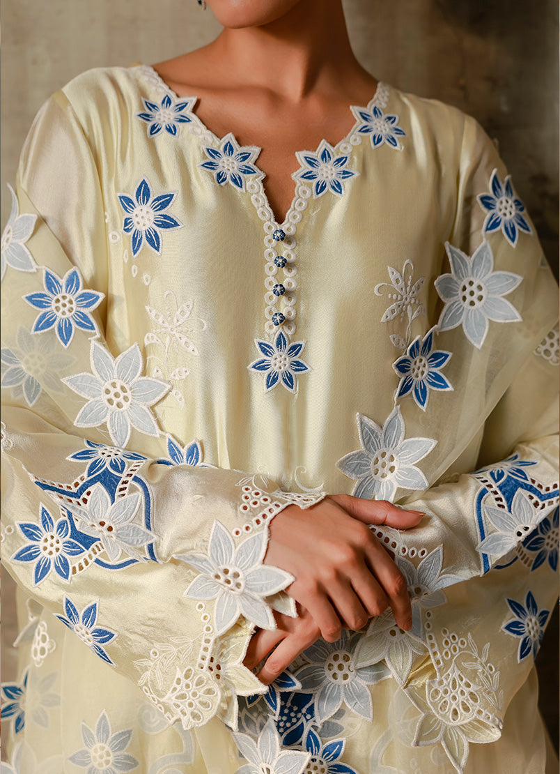 Embroidered 3 PC Suit