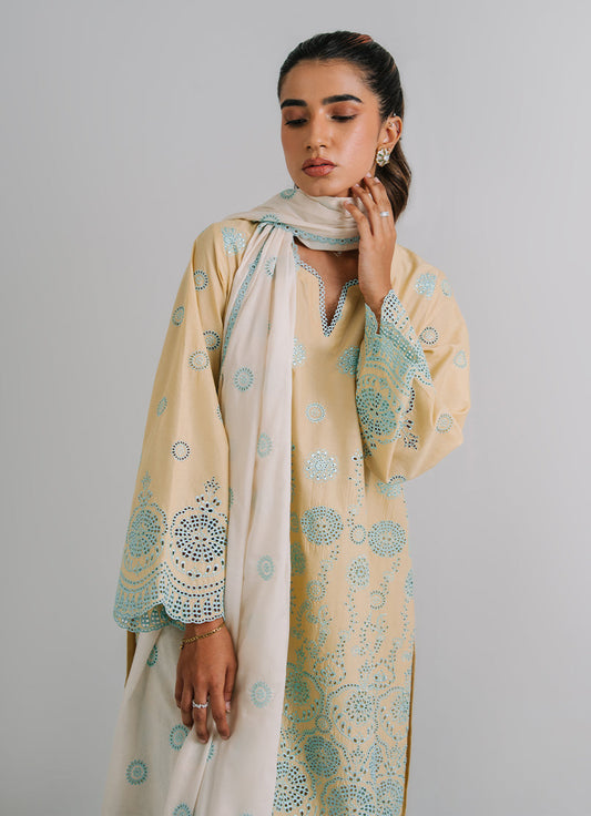 3 PC Embroidered Suit