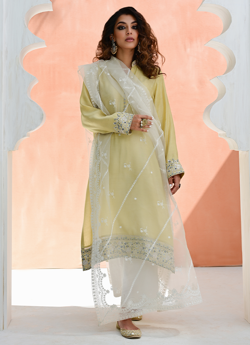 Embroidered Organza Dupatta